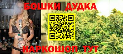 таблы Будённовск