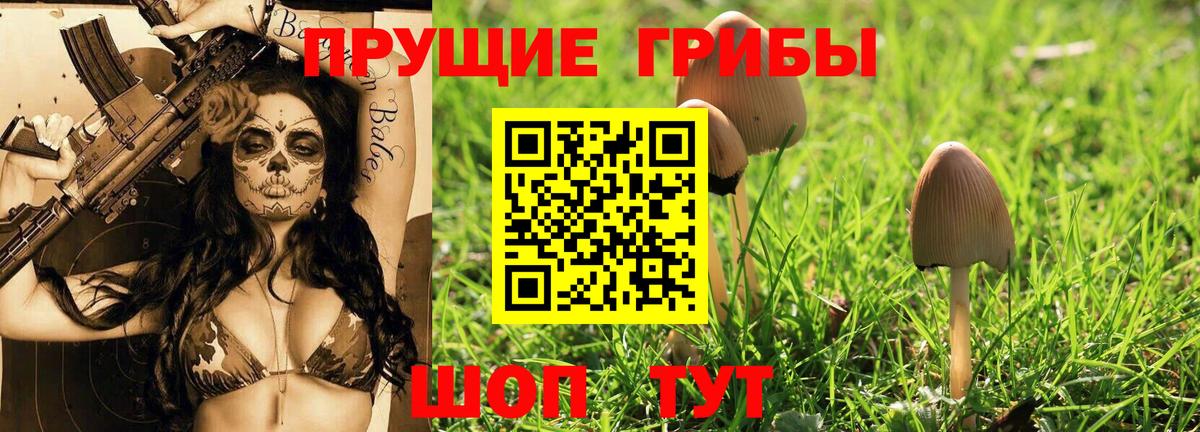 сколько стоит  Псилоцибиновые грибы мухоморы  Вход с VPN  Лесной 